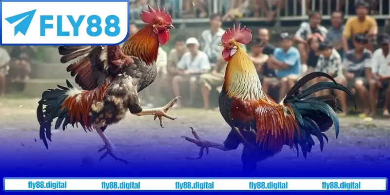 Dịch vụ hỗ trợ khách hàng Dịch vụ hỗ trợ khách hàng